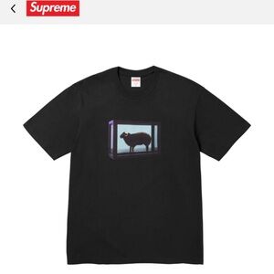 Supreme / Damien Hirst Tee “Black”
